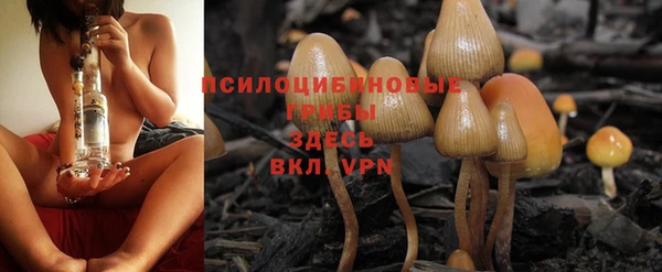 спиды Кулебаки