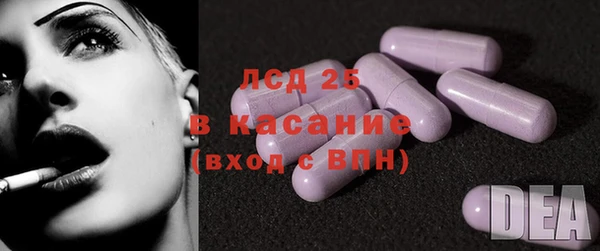 сатива Куйбышев