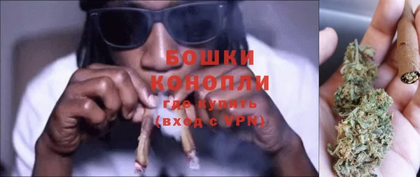 сатива Куйбышев