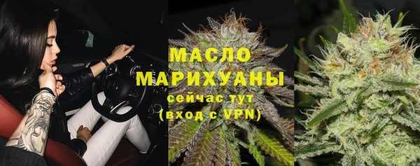 сатива Куйбышев